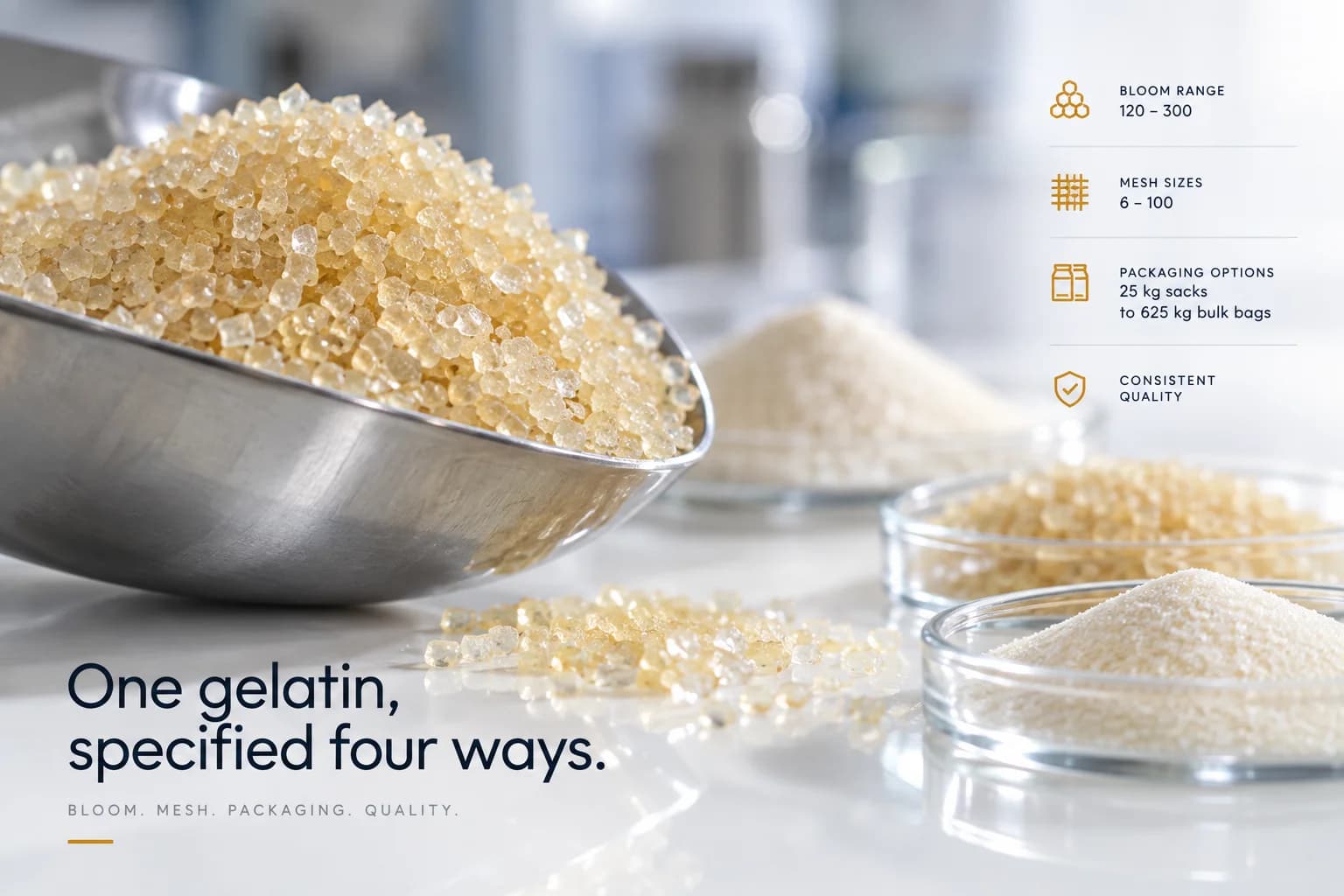 A steel scoop of gelatin granules beside glass dishes of granules and powder, captioned "One gelatin, specified four ways": bloom range 120–300, mesh sizes 6–100, packaging from 25 kg sacks to 625 kg bulk bags, and consistent quality.
