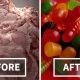 how-gelatin-is-made