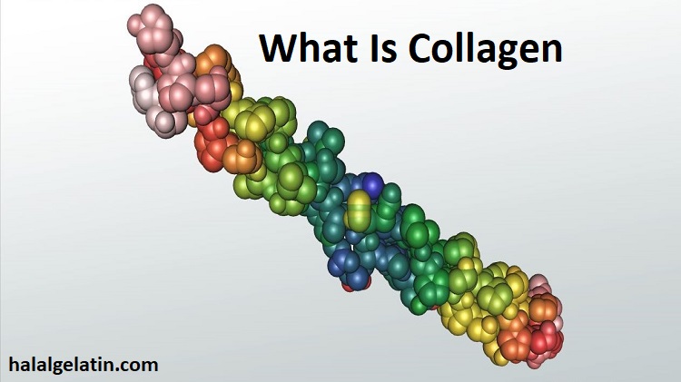 what-is-collagen