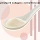 What-Is-Hydrolyzed-Collagen