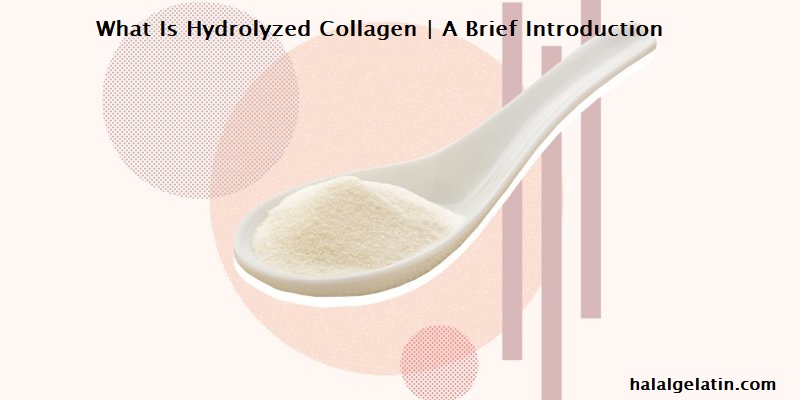 What-Is-Hydrolyzed-Collagen